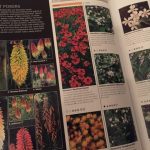 Review: RHS Encyclopaedia of Plants and Flowers by Christopher Brickell