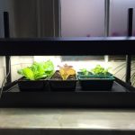 Review: Garland Grow Light Garden