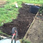 My Allotment: Weeding