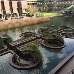 PHOTO GALLERY: Barbican Conservatory, London