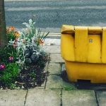 11 Realities of Gardening in London