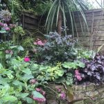 Form factor – our garden in June 2016