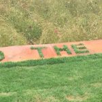That sinking feeling – RHS Hampton Court Palace Flower Show