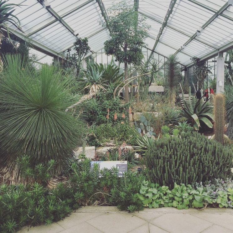 Princess of Wales Conservatory, Kew