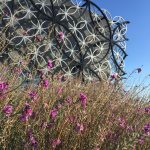 From the streets: Library of Birmingham’s rooftop secret garden and futuristic municipal design