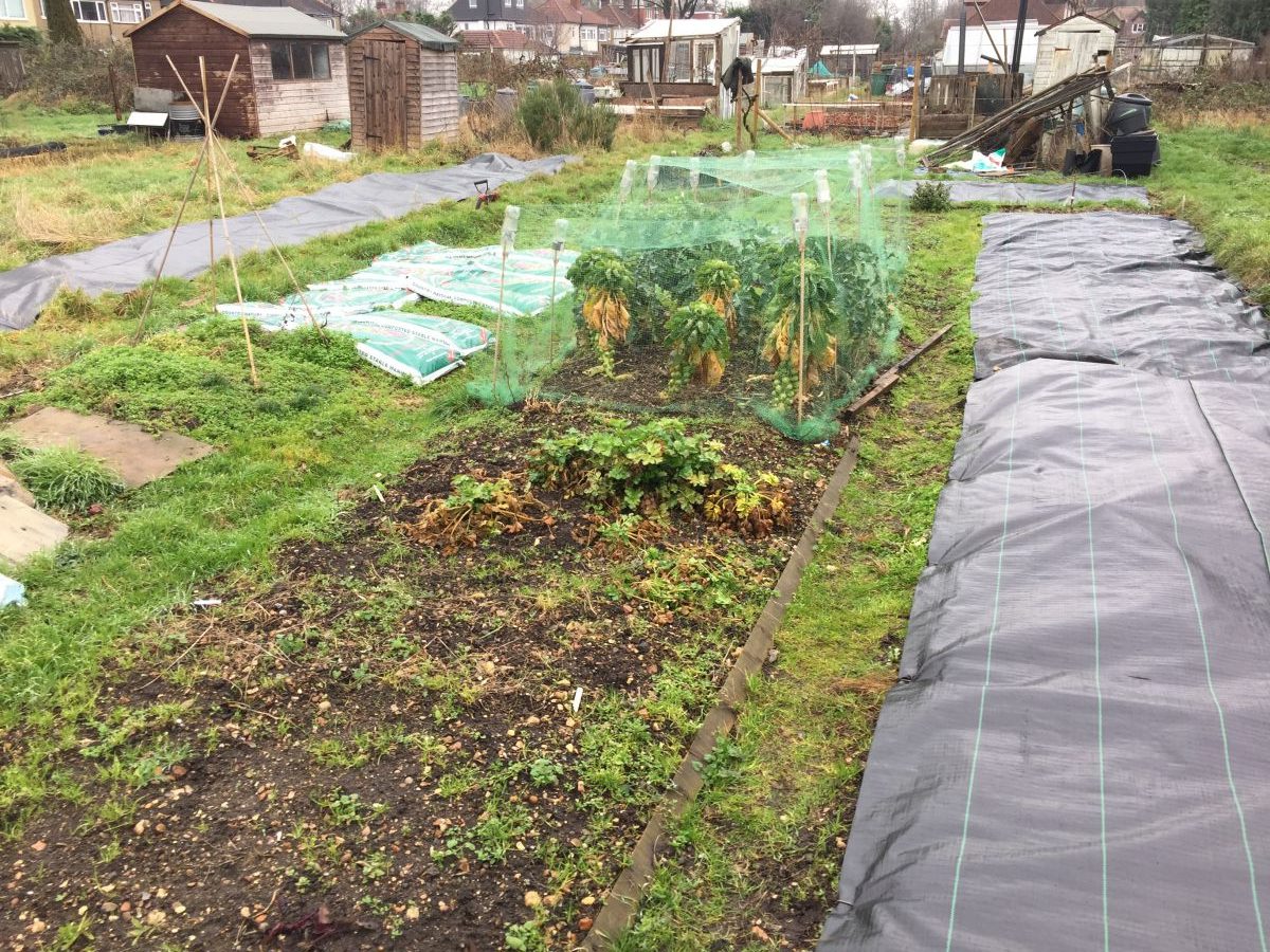 Allotment Weed Suppressant Membrane