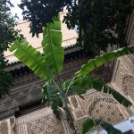 Marrakesh (Part Three): Islamic tiled courtyards at Bahia Palace