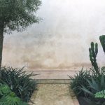 Marrakesh (Part Five): Le Jardin Secret by Tom Stuart-Smith