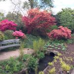 RHS Wisley in late April