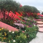 RHS Chelsea Flower Show 2017 – Press Day Highlights