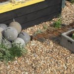 At the end of the earth, plants – Prospect Cottage, Dungeness