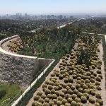 56 Photos of Californian Gardens: from Facebook and Google to Hollywood via Alcatraz