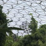 Eden Project