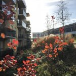 From the streets: A walk in the winter sunshine