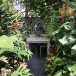 Good husbandry goes a long way in small gardens – The Watch House, Broadstairs