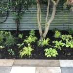 How established should a newly planted garden design be?