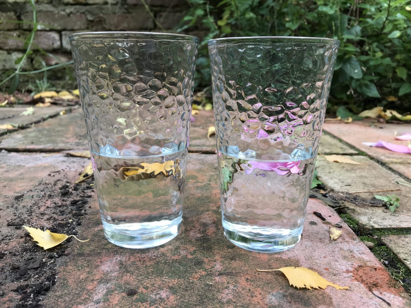 Crocks in pots what is the myth, that they do or don’t work? Jack