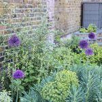 Small garden design in Clapham, London