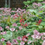 Front garden design in Clapham, London