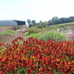 Oudolf Field at Hauser and Wirth, Somerset