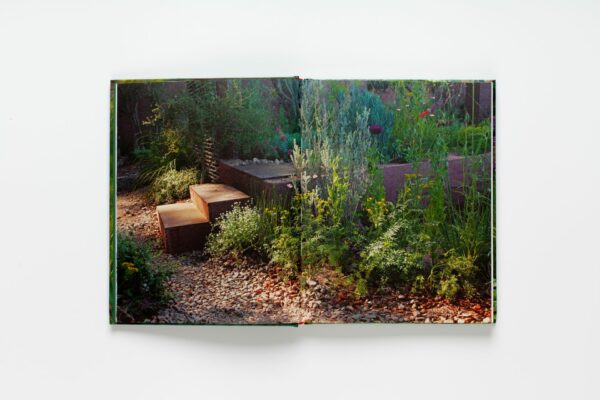Wild about Weeds: Garden Design with Rebel Plants (signed copy) - Image 4