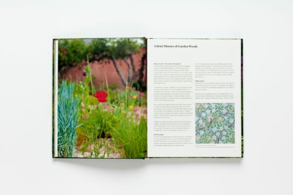 Wild about Weeds: Garden Design with Rebel Plants (signed copy) - Image 5
