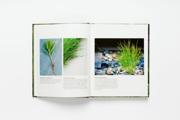 Wild about Weeds: Garden Design with Rebel Plants (signed copy) - Image 2
