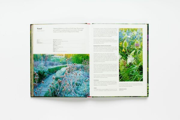 Wild about Weeds: Garden Design with Rebel Plants (signed copy) - Image 3