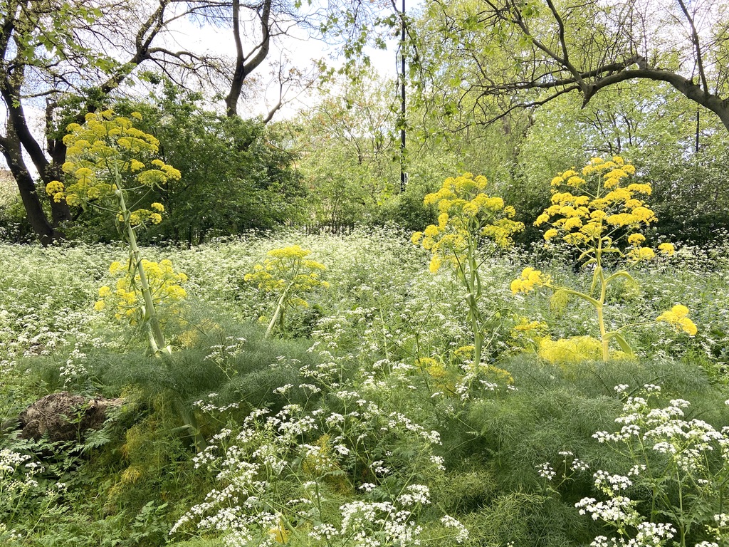 gardens to visit south london