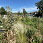Gardening in southern England’s changed climate