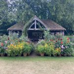 Trials and titillations at RHS Wisley after lockdown