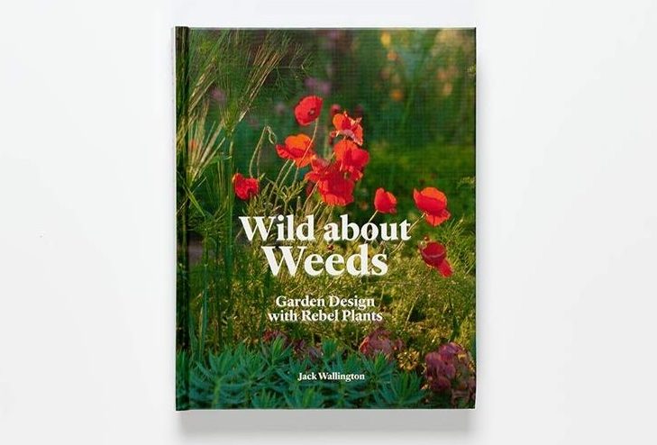 Weeds and why they grow book