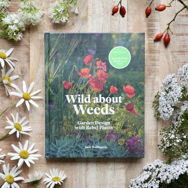 Wild about Weeds: garden design with rebel wildflowers plants by Jack Wallington
