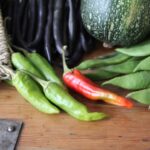 How to grow chillies and peppers from seed organically