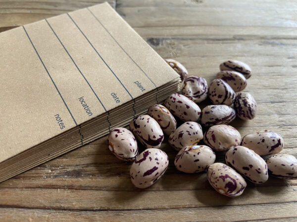 40 MINA recycled seed packets (9.8cm x 6.7cm) - Image 4