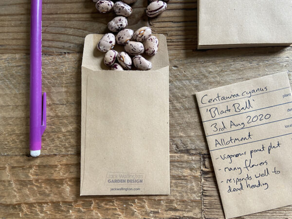 40 MINA recycled seed packets (9.8cm x 6.7cm) - Image 3