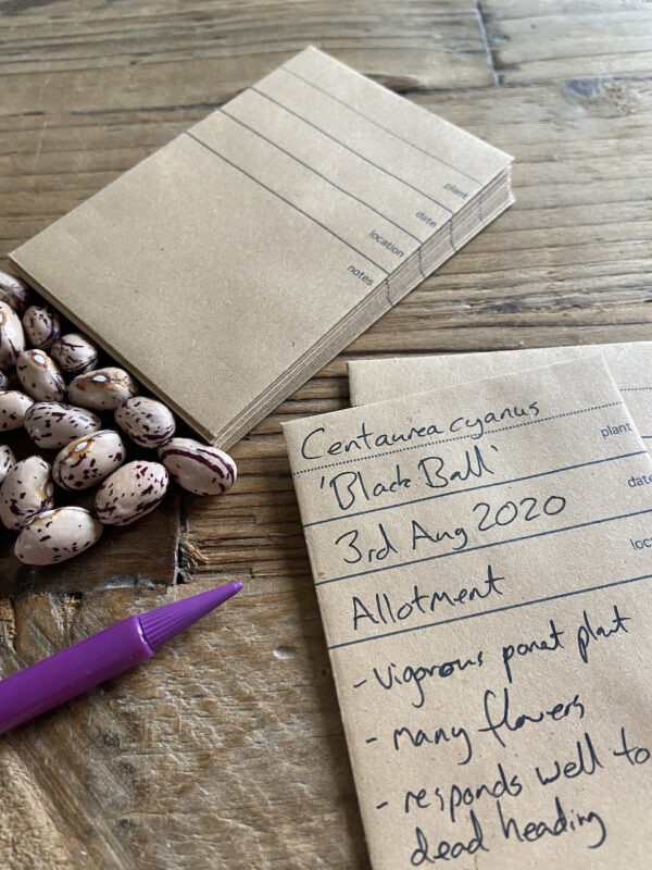 40 MINA recycled seed packets (9.8cm x 6.7cm) - Image 2