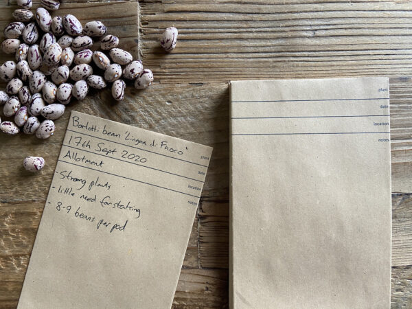30 MAXA recycled seed packets (15cm x 10cm)