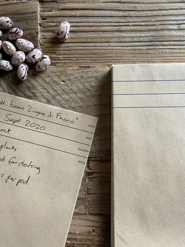 30 MAXA recycled seed packets (15cm x 10cm)