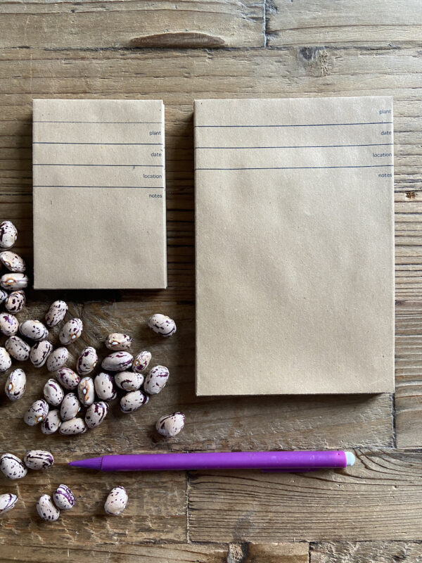 30 MAXA recycled seed packets (15cm x 10cm) - Image 5