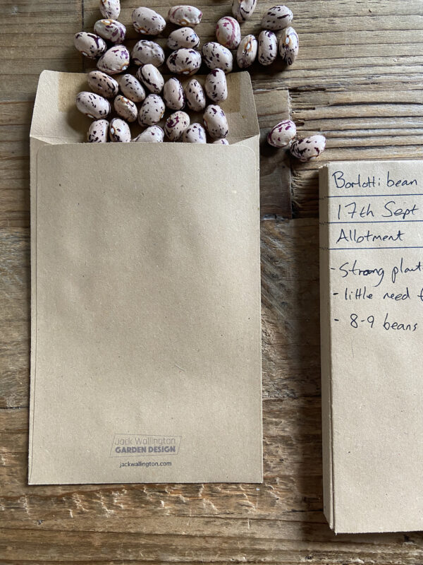 30 MAXA recycled seed packets (15cm x 10cm) - Image 4