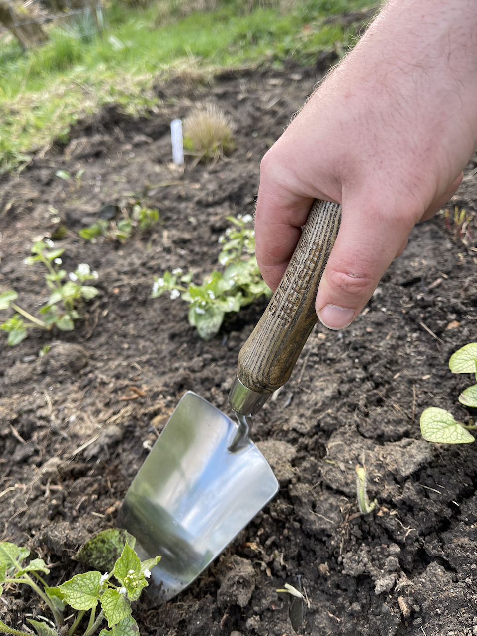 SPEAR AND JACKSON GARDEN TROWEL PLANTING AND WEEDING TOOL 