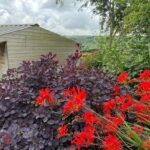 Midgley Open Gardens, near Hebden Bridge