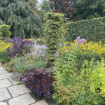 Atmosphere and wonder at York Gate Garden, Leeds, Yorkshire