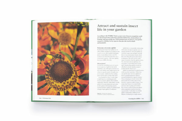 A Greener Life: discover the joy of mindful and sustainable gardening (signed copy) - Image 3
