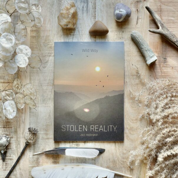 Wild Way: Stolen Reality by Jack Wallington