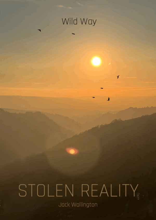 Wild Way: Stolen Reality (signed copy)