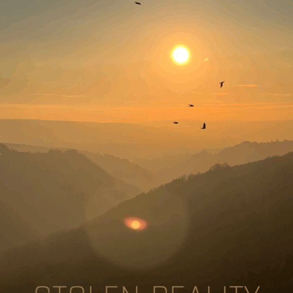 Wild Way: Stolen Reality (signed copy)