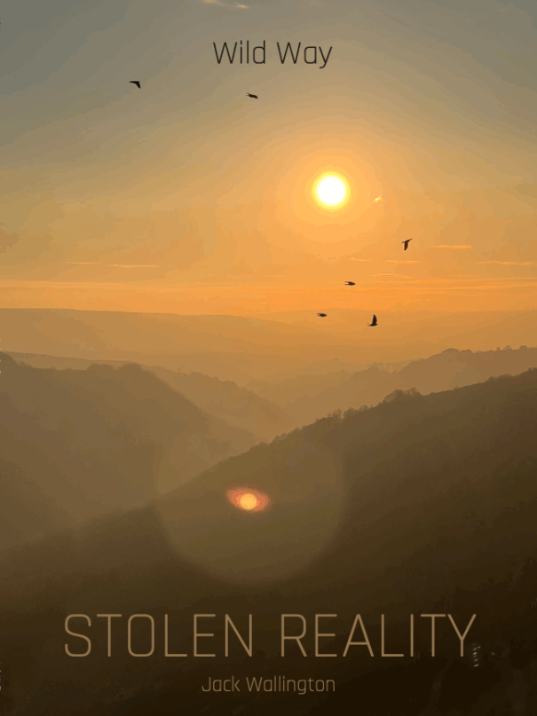 Wild Way: Stolen Reality (signed copy)