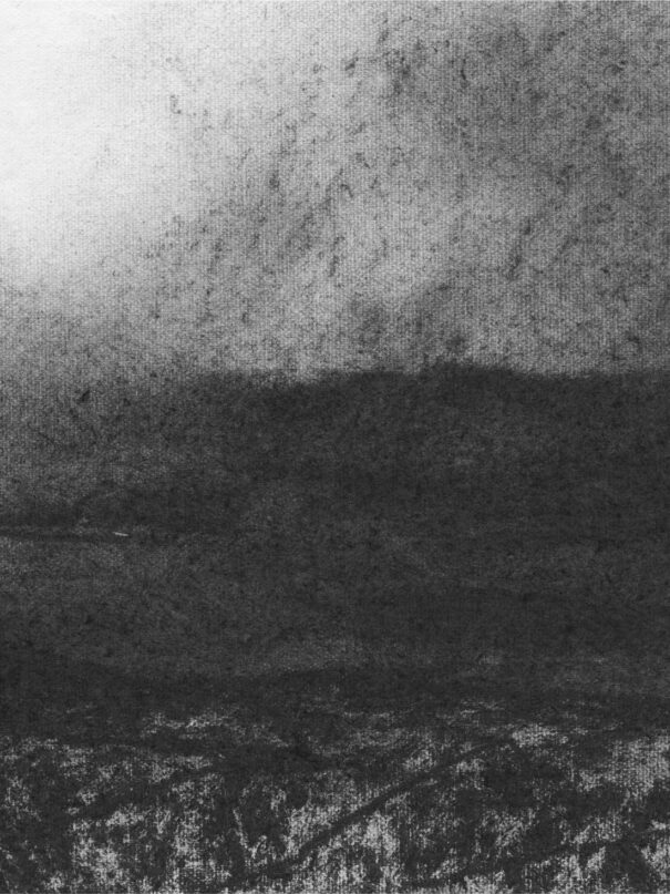 fusion rising charcoal by Jack Wallington